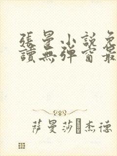 张曼小说免费阅读无弹窗最新章节