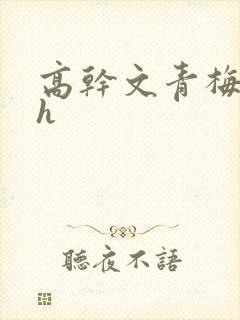 高干文青梅竹马h