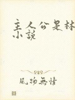 主人公是林凡的小说