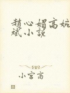 赵心媚高婉君陈斌小说封面