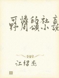 可怜的社畜 商野周颂小说