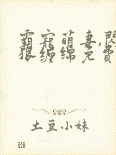 霸宠萌妻,闪婚狠缠绵免费阅读封面