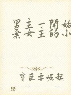 男主一开始很嫌弃女主的小说