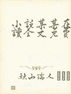 小说某某在线阅读全文免费封面