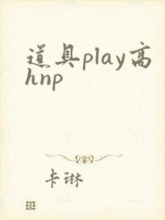 道具play高hnp