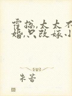 霍总,太太不复婚,只改嫁小说在线阅读