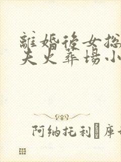 离婚后女总裁追夫火葬场小说封面