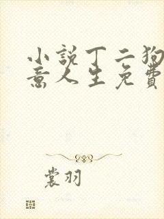 小说丁二狗的肆意人生免费阅读