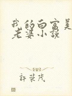 我的白富美总裁老婆小说