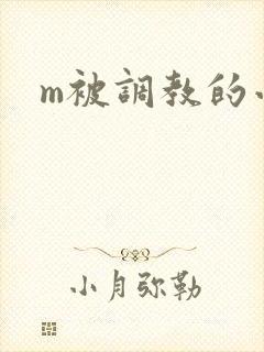 m被调教的小说