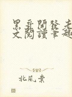 黑哥开发老婆全文阅读笔趣阁封面