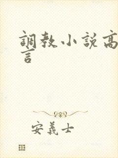 调教小说高h古言