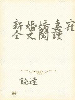 新婚娇妻宠上瘾全文阅读