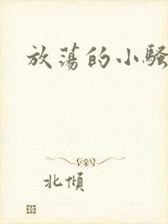 放荡的小骚货