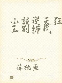 小说逆天狂妃邪王别缠我