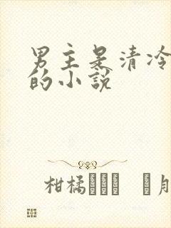 男主是清冷医生的小说封面