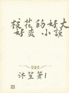 校花的好大的奶 好爽 小说