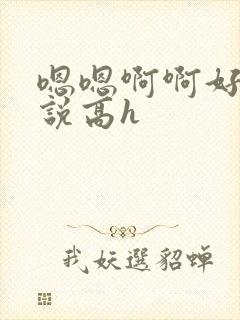 嗯嗯啊啊好爽小说高h