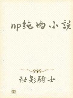 np纯肉小说h封面