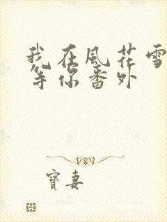 我在风花雪月里等你番外