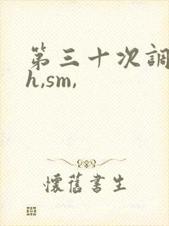 第三十次调教(h,sm,