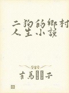 二狗的乡村猎艳人生小说