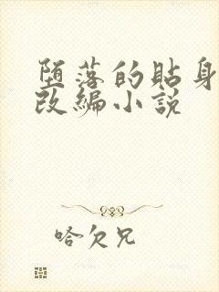 堕落的贴身高手改编小说