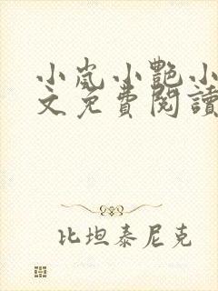 小岚小艳小说全文免费阅读最新章节