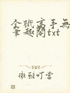 全职高手无弹窗笔趣阁txt封面