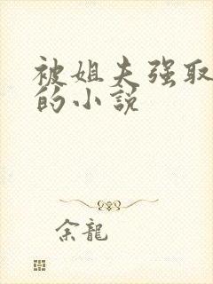 被姐夫强取豪夺的小说封面