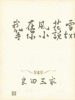 我在风花雪月里等你小说txt免费下载