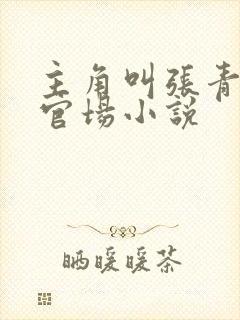 主角叫张青云的官场小说