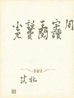 小说王宇周美琴免费阅读