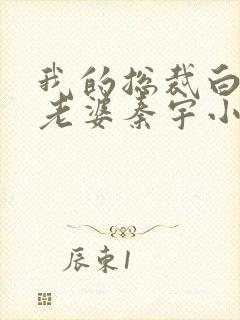 我的总裁白富美老婆秦宇小说最新章节在线