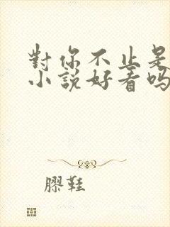 对你不止是喜欢小说好看吗