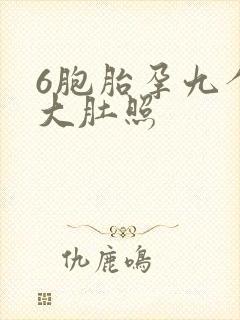 6胞胎孕九个月大肚照封面