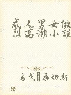 成人男女做爰猛烈高潮小说描述