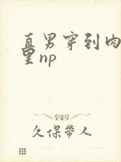 直男穿到肉欲文里np封面