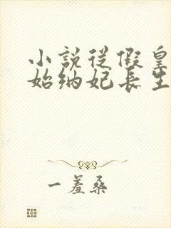 小说从假皇帝开始纳妃长生