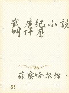 武庚纪小说原著叫什么封面