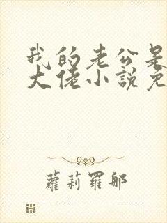 我的老公是千亿大佬小说免费阅读