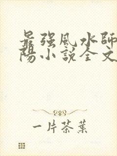 最强风水师陈少阳小说全文免费阅读