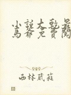 小说大乾最狂驸马爷免费阅读