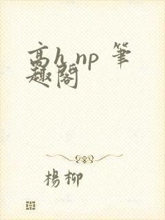高h np 笔趣阁