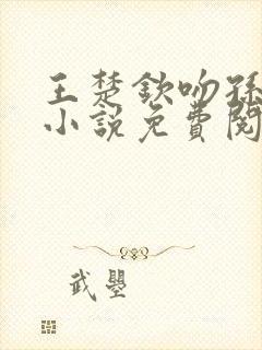 王楚钦吻孙颖莎小说免费阅读