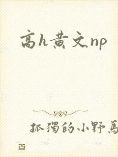 高h黄文np