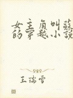 女主角叫苏浅浅的穿越小说