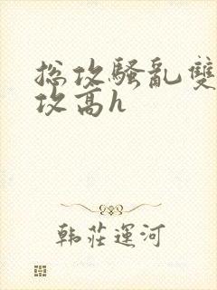 总攻骚乱双性互攻高h