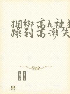 捆绑高h被狂c躁到高潮失禁视频