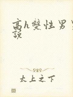 高h双性男男小说